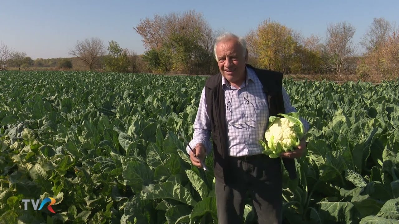 Viata Satului   Conopida