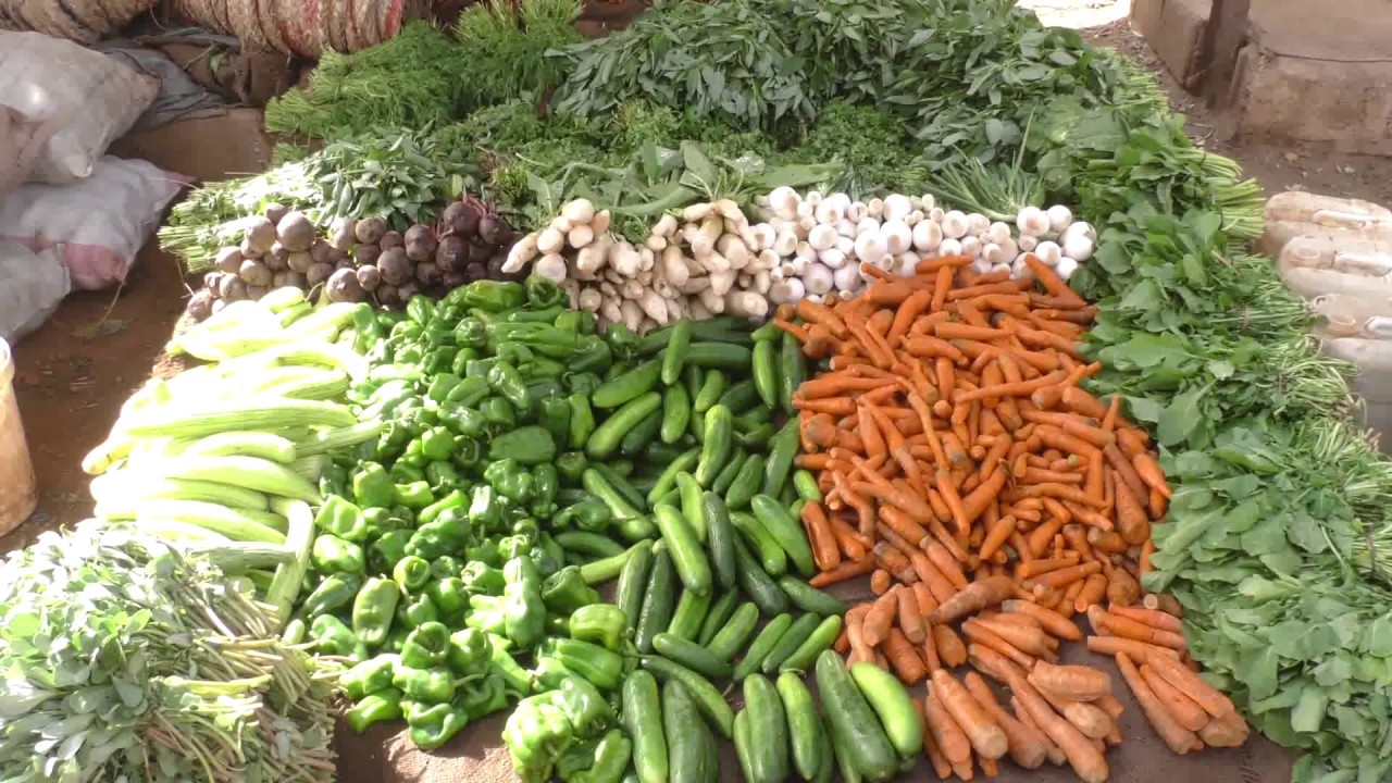 سنابل السودان : هل ترغب ان تكون لك مزرعة في غرب ام درمان( 2)