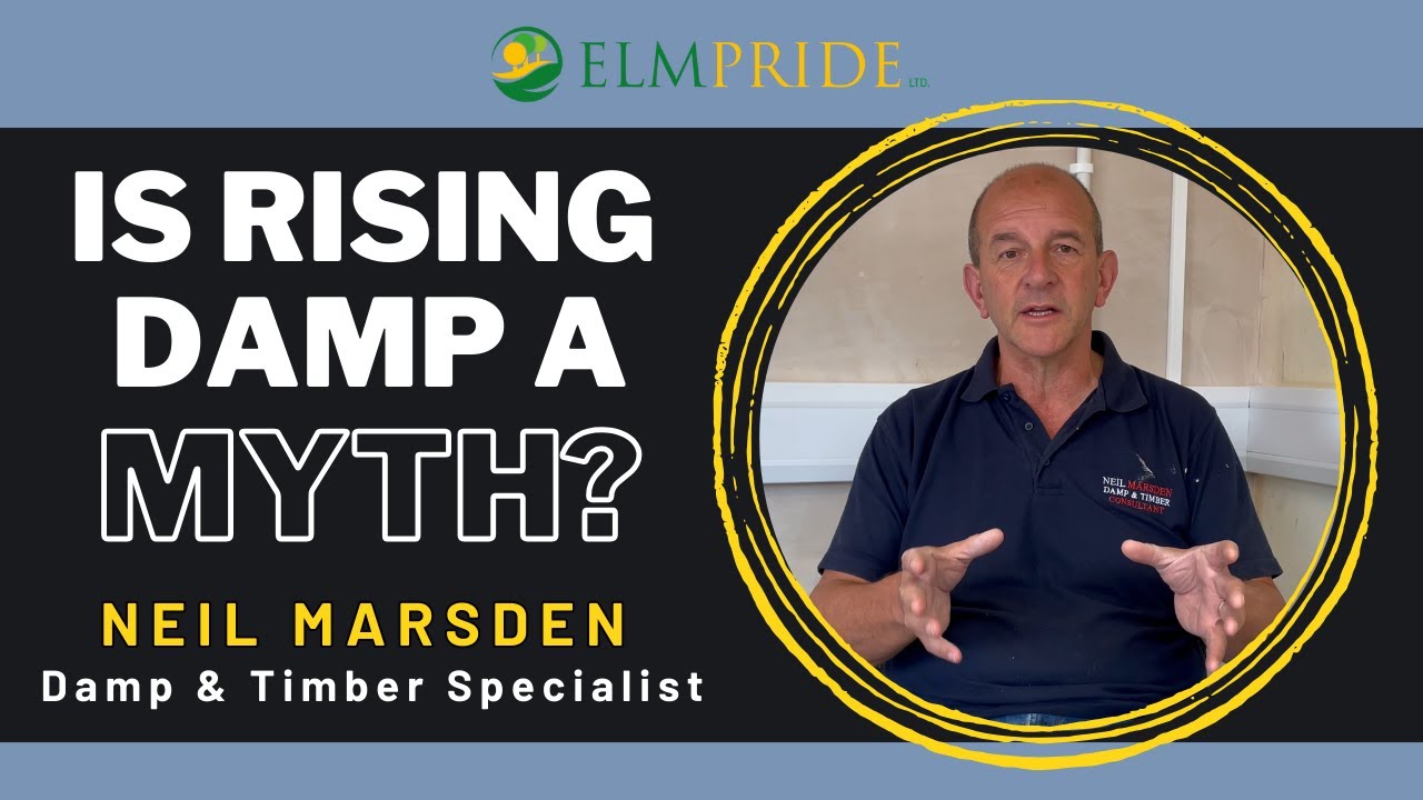 Is Rising Damp A Myth? Neil Marsden Sr.