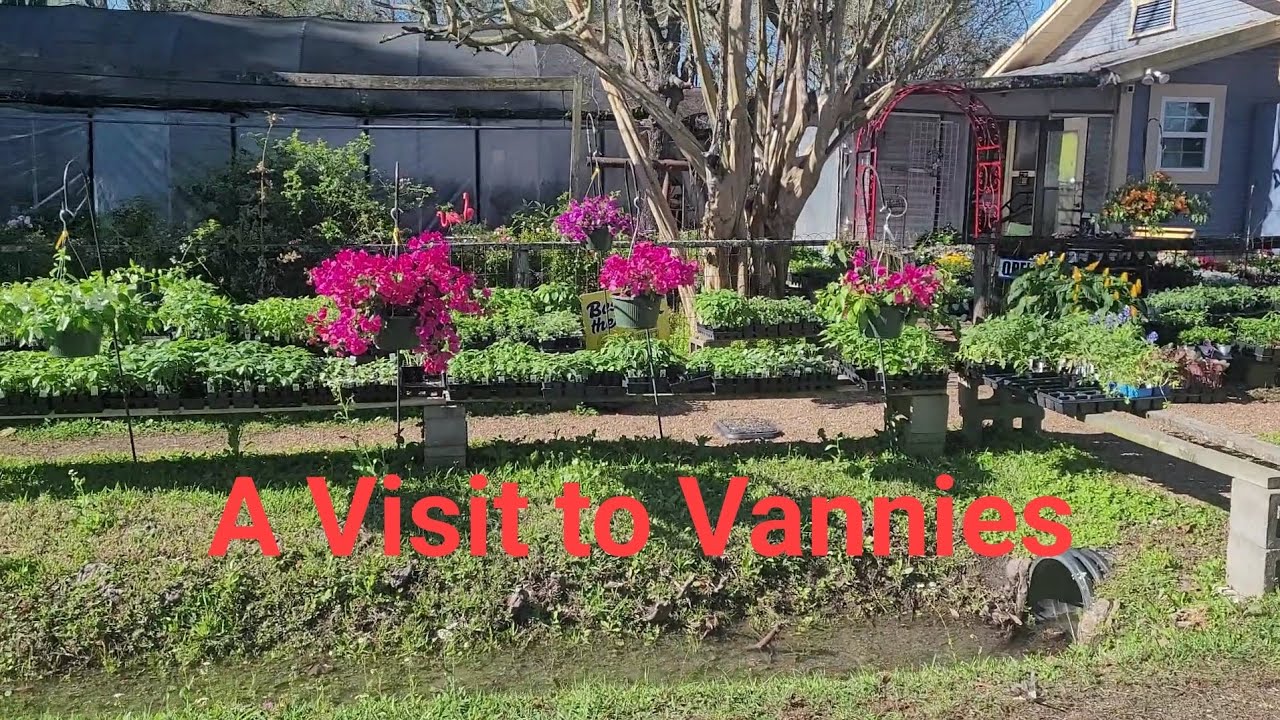 Визит к Ванни