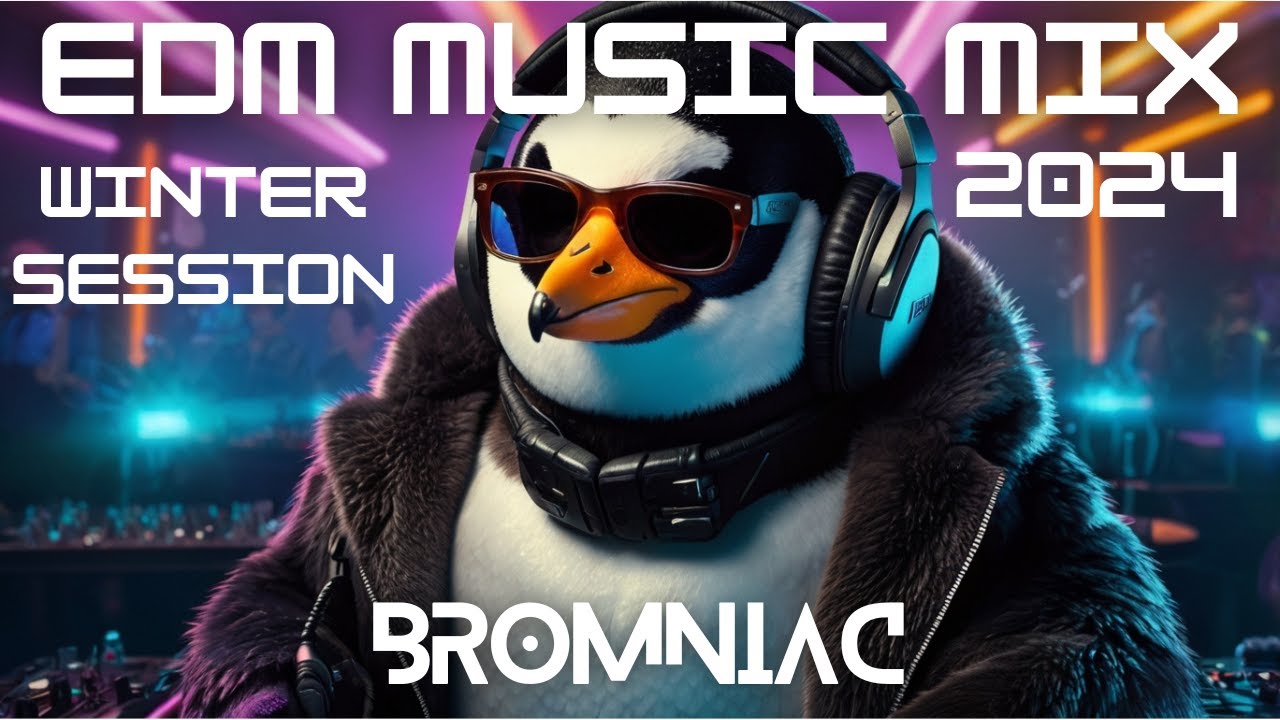 Bromniac - EDM Music Mix 2024 Winter Session - Tiesto, Alok, Swedish House Mafia, Don Diablo & more&hellip;