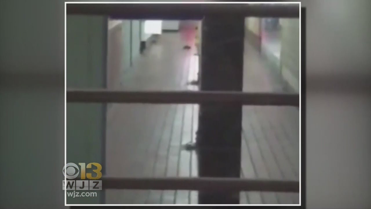 Northeast Market Back Open After Video Of Rats Inside Goes Viral