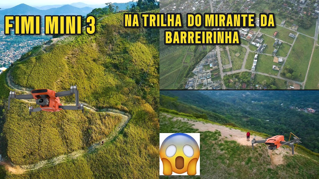 LEVEI  O  