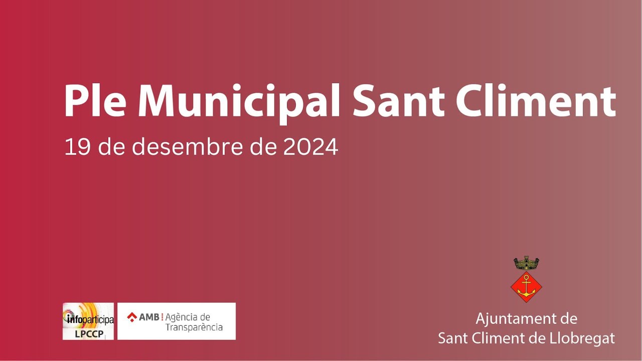 Ple extraordinari, dijous 19 de desembre de 2024