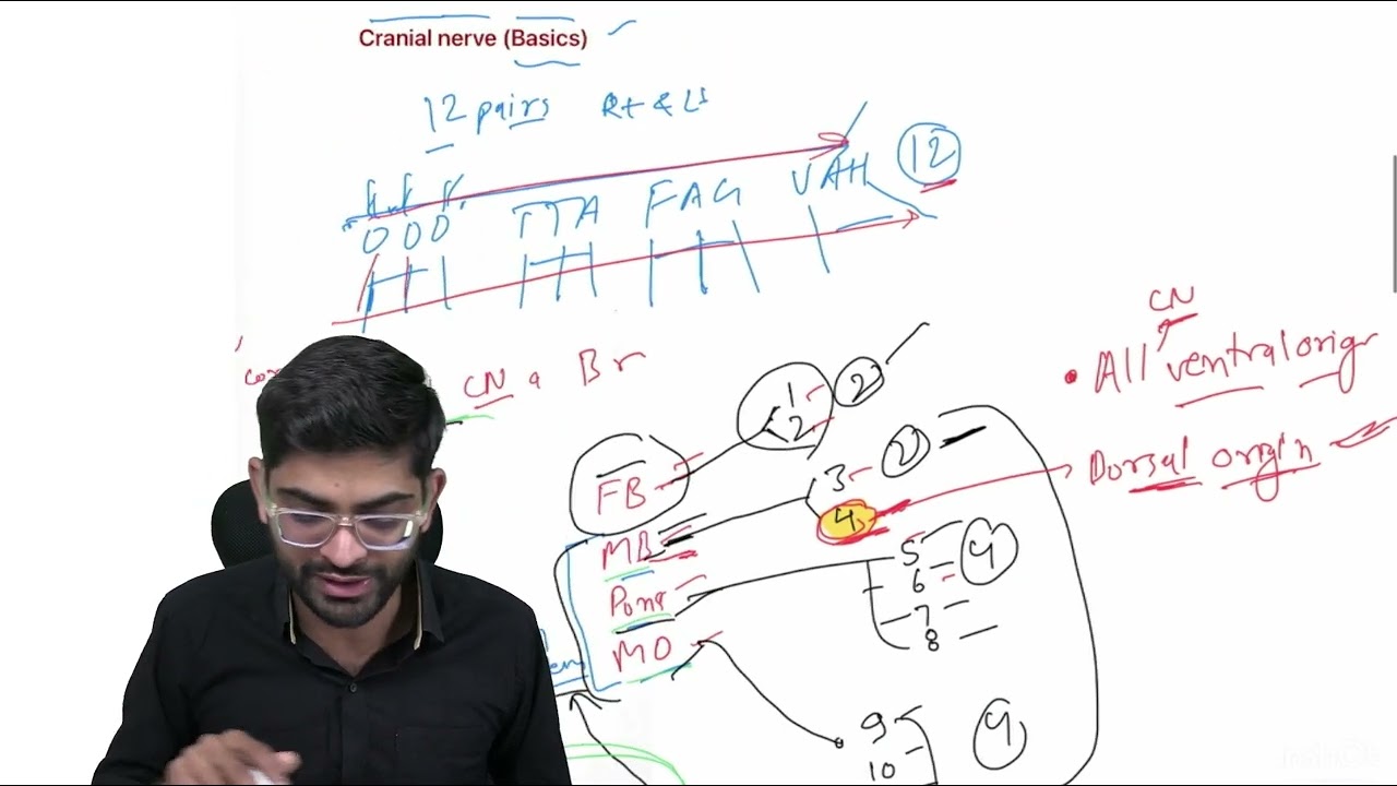 Stop Confusing Cranial Nerve Origins