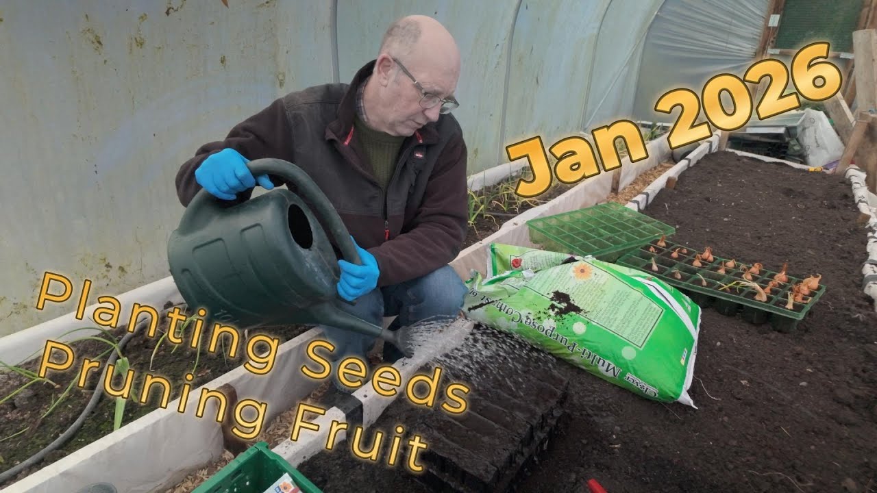 January seed sowing and fruit pruning