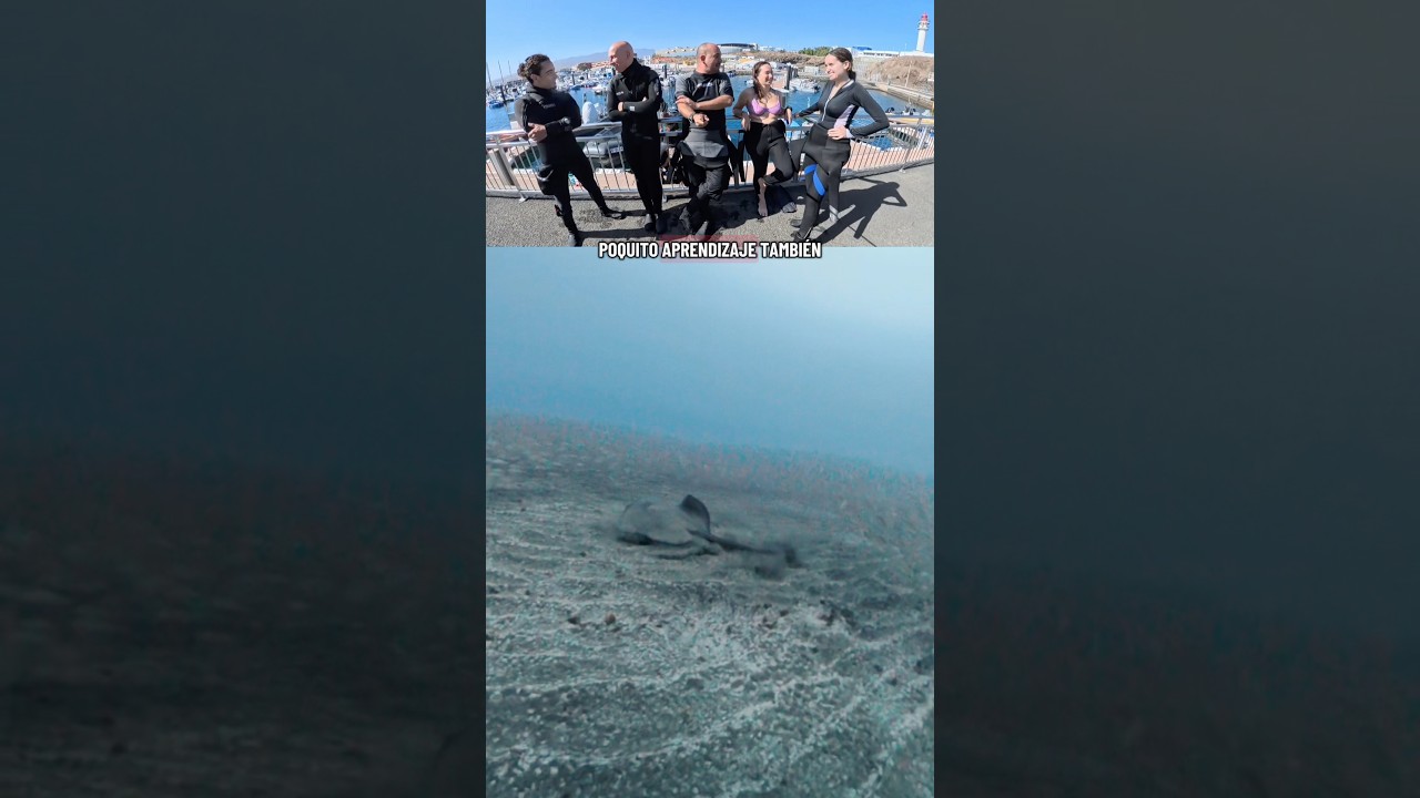 Tremenda tortuga y barcos hundidos! Parte 2 de 2 