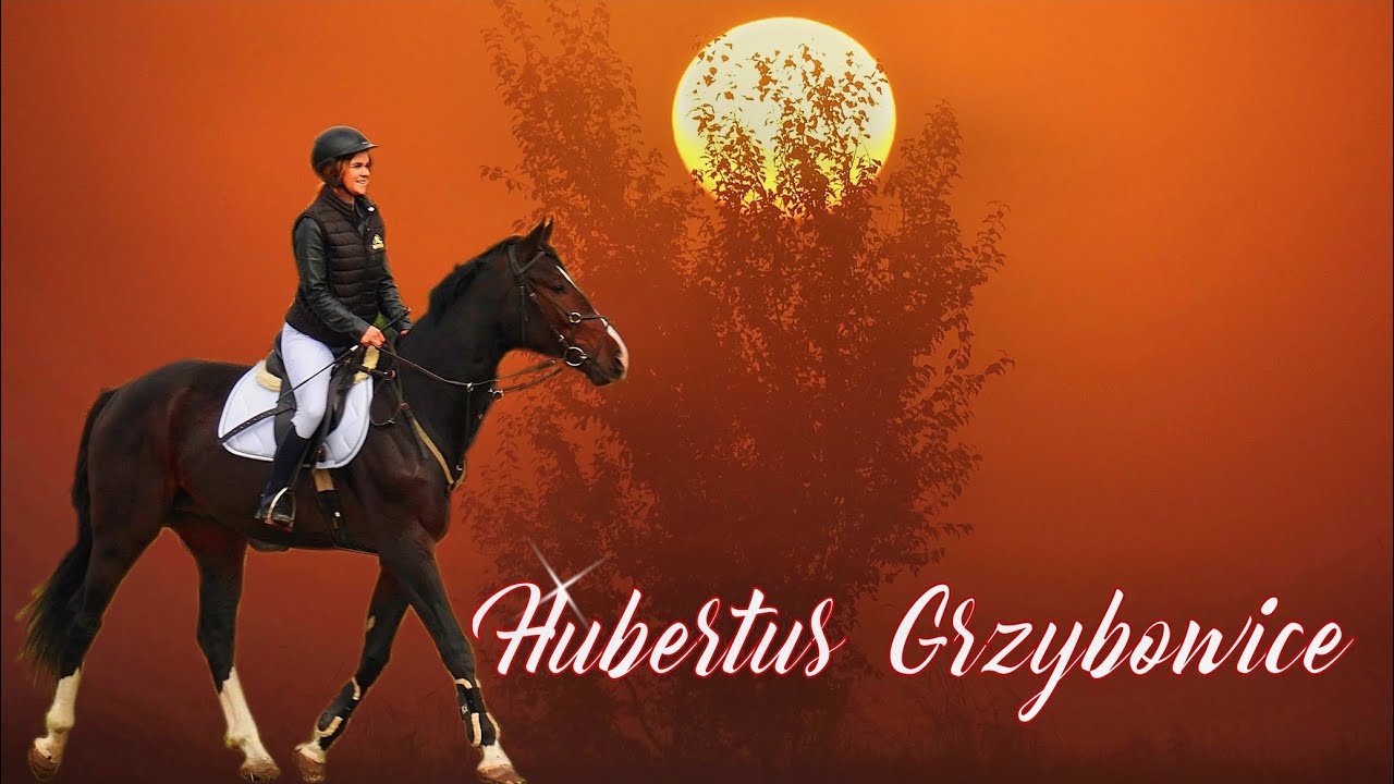 Stajnia Grzybowice Hubertus 2021.