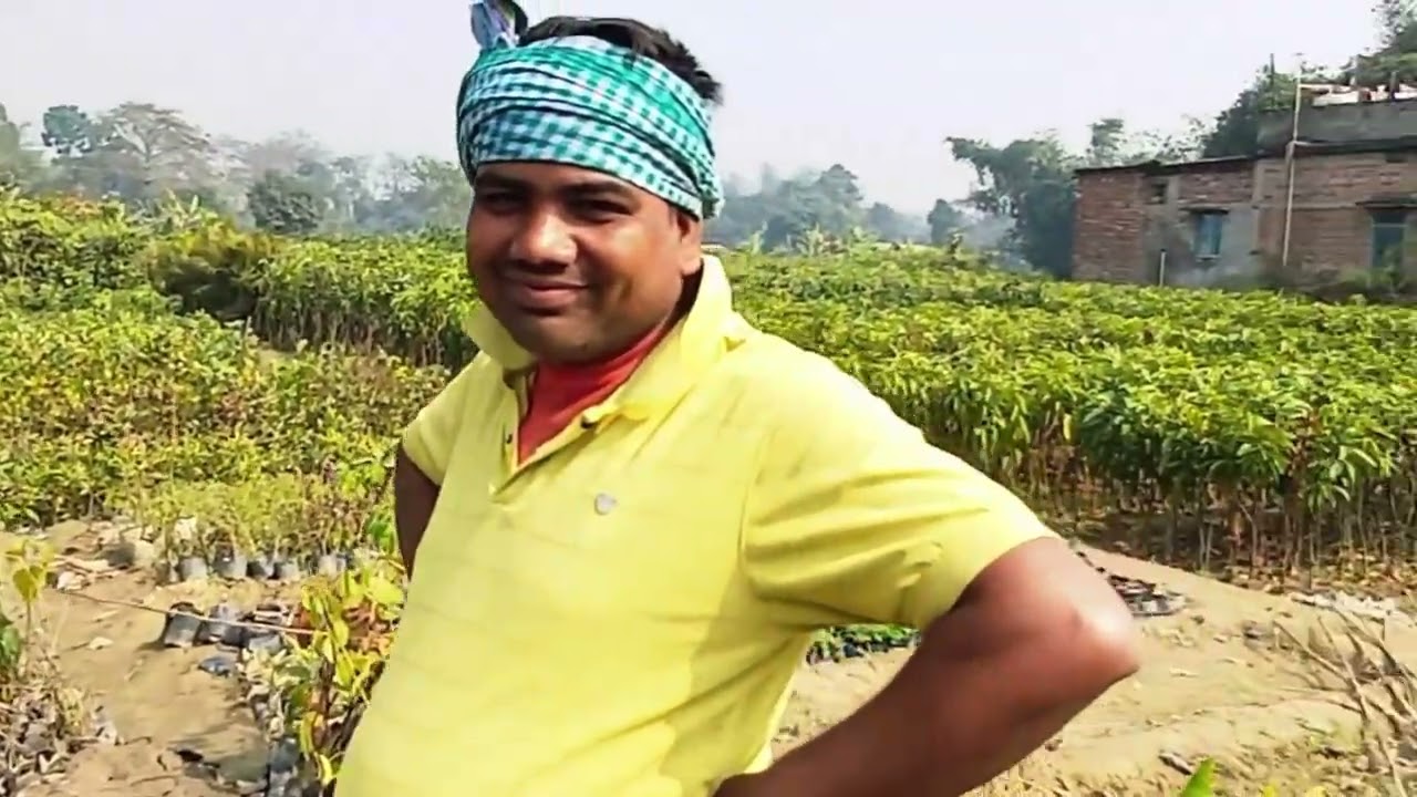 नर्सरी 🪴 