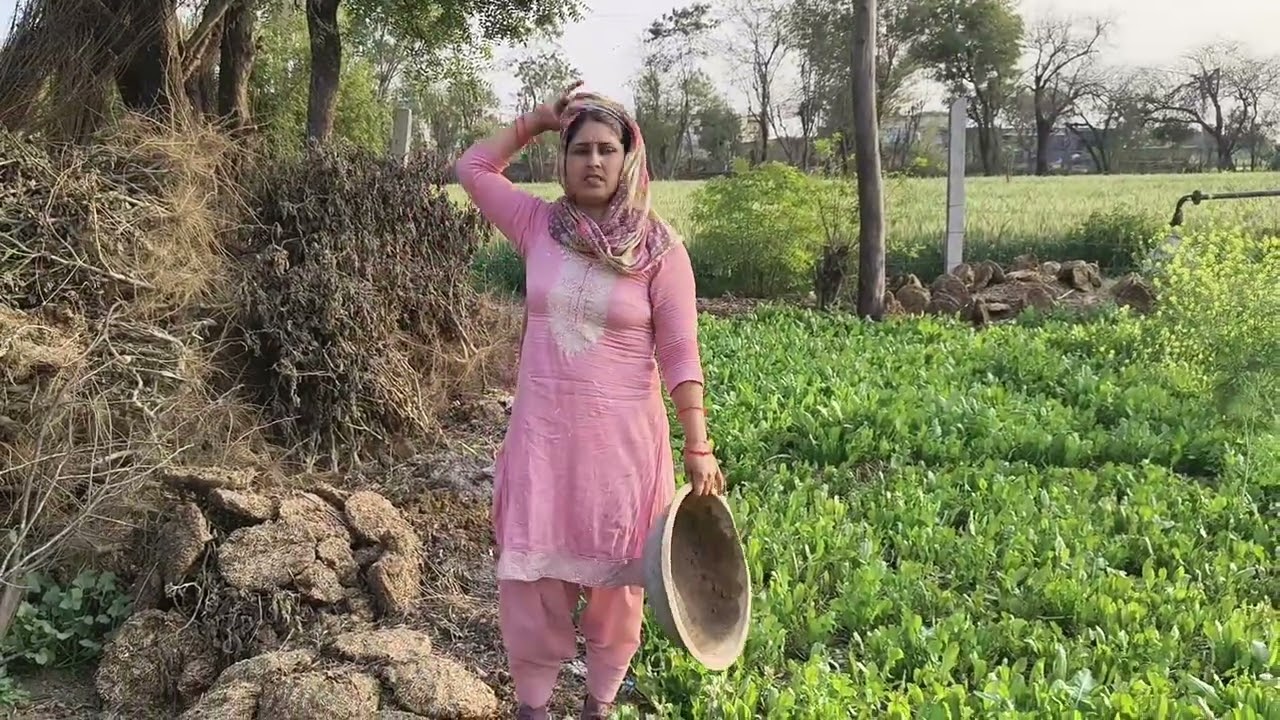 हमारा प्लॉट का व्लॉग केसा लगा आप सभी को🌸🌷❤️