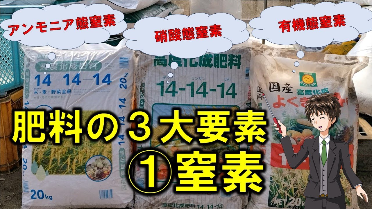 【肥料の３大要素①窒素】最も欠かせない栄養素！
