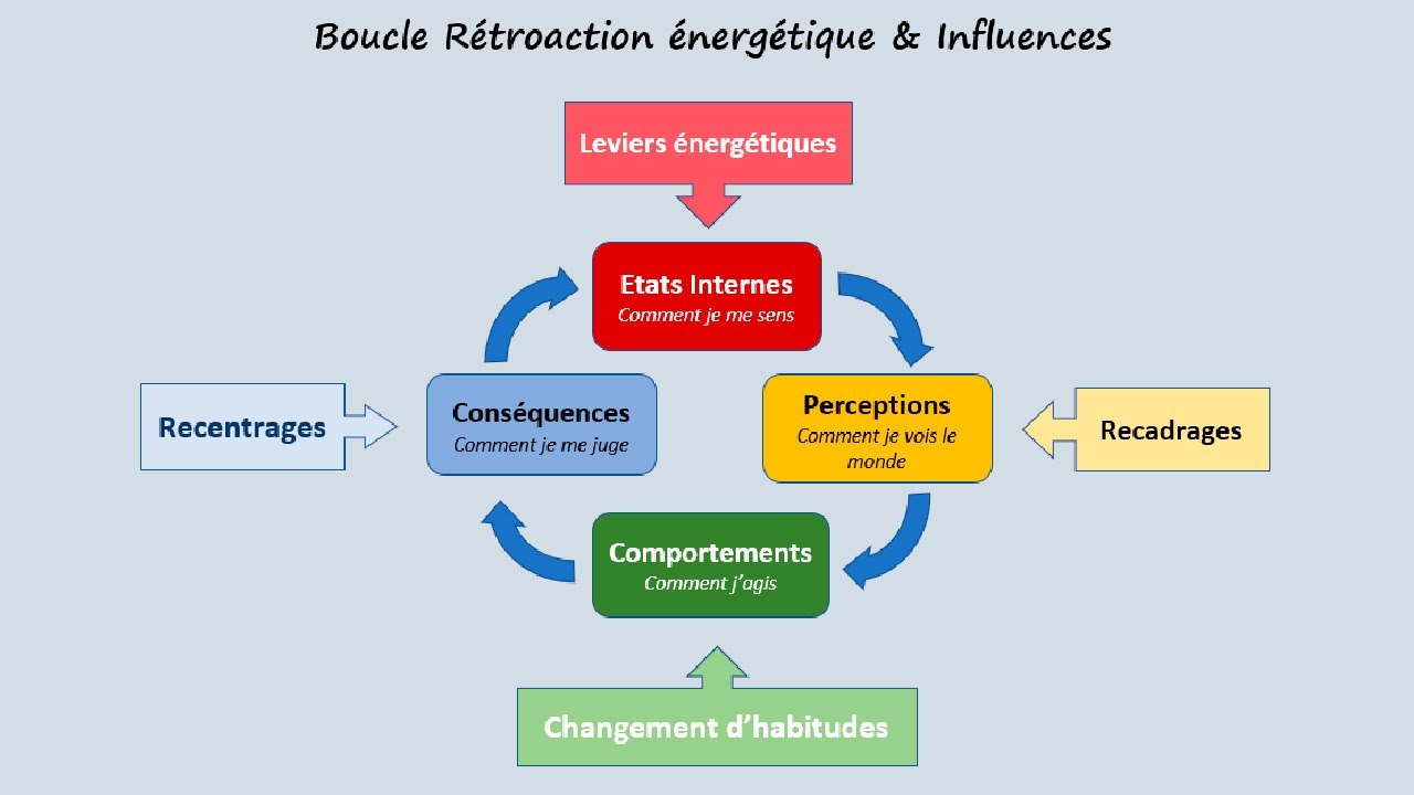 Boucle r&eacute;troaction &eacute;nergetique