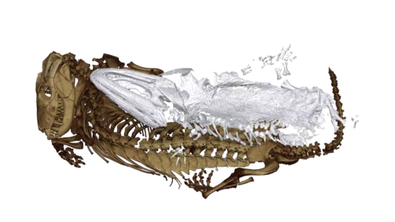 Safe Beneath Extinction?