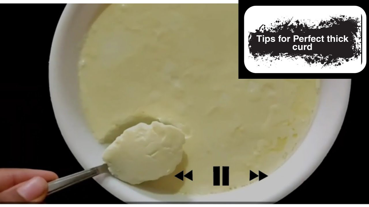 No fail  | Tips to get Homemade thick curd  
