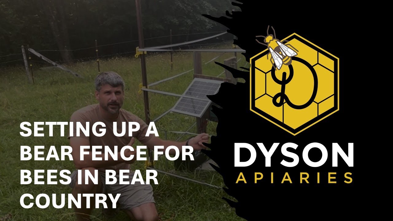 Setting Up a Bear Fence for Bees in Bear Country