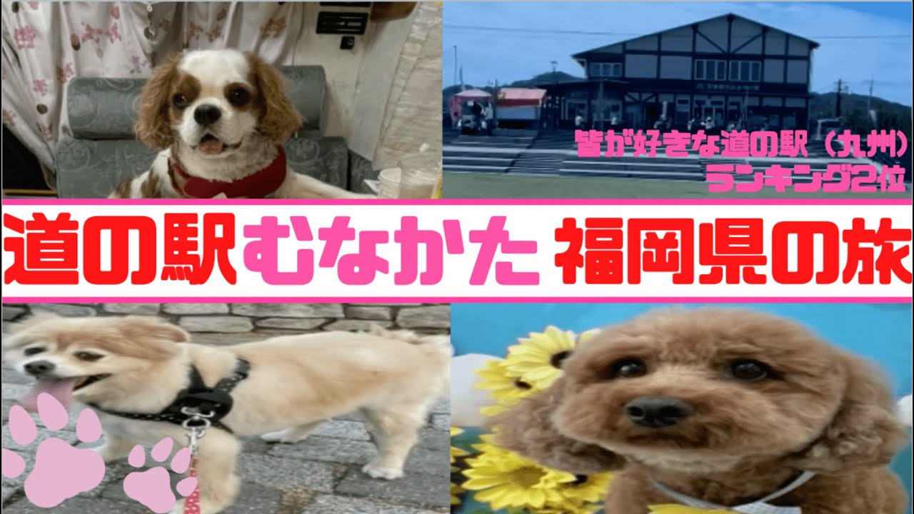 ＃2　道の駅むなかた（福岡県）へ行こう
