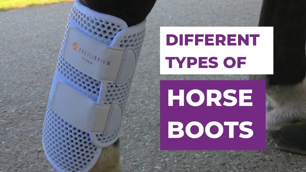 Horse Boots 101 - Types of Horse Boots and What They&rsquo;re Used For