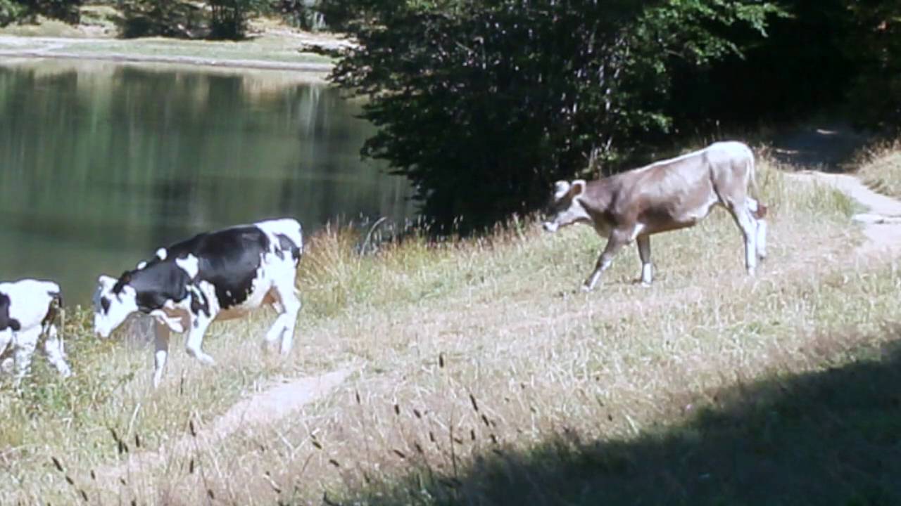 Lago del Ventasso - Appennino Reggiano