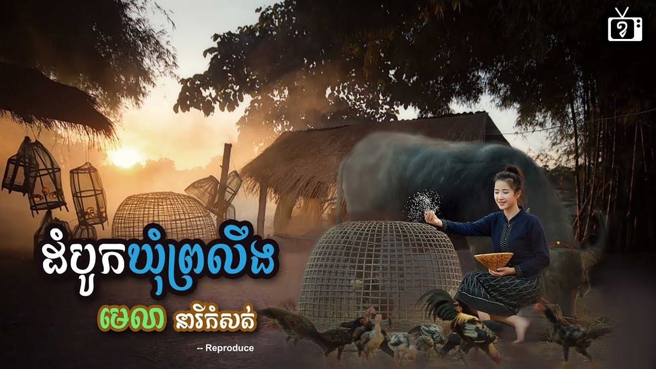 ដំបូក ឃុំព្រលឹងមេលានារីកំសត់ | ខ្ទឹមស/Garlic