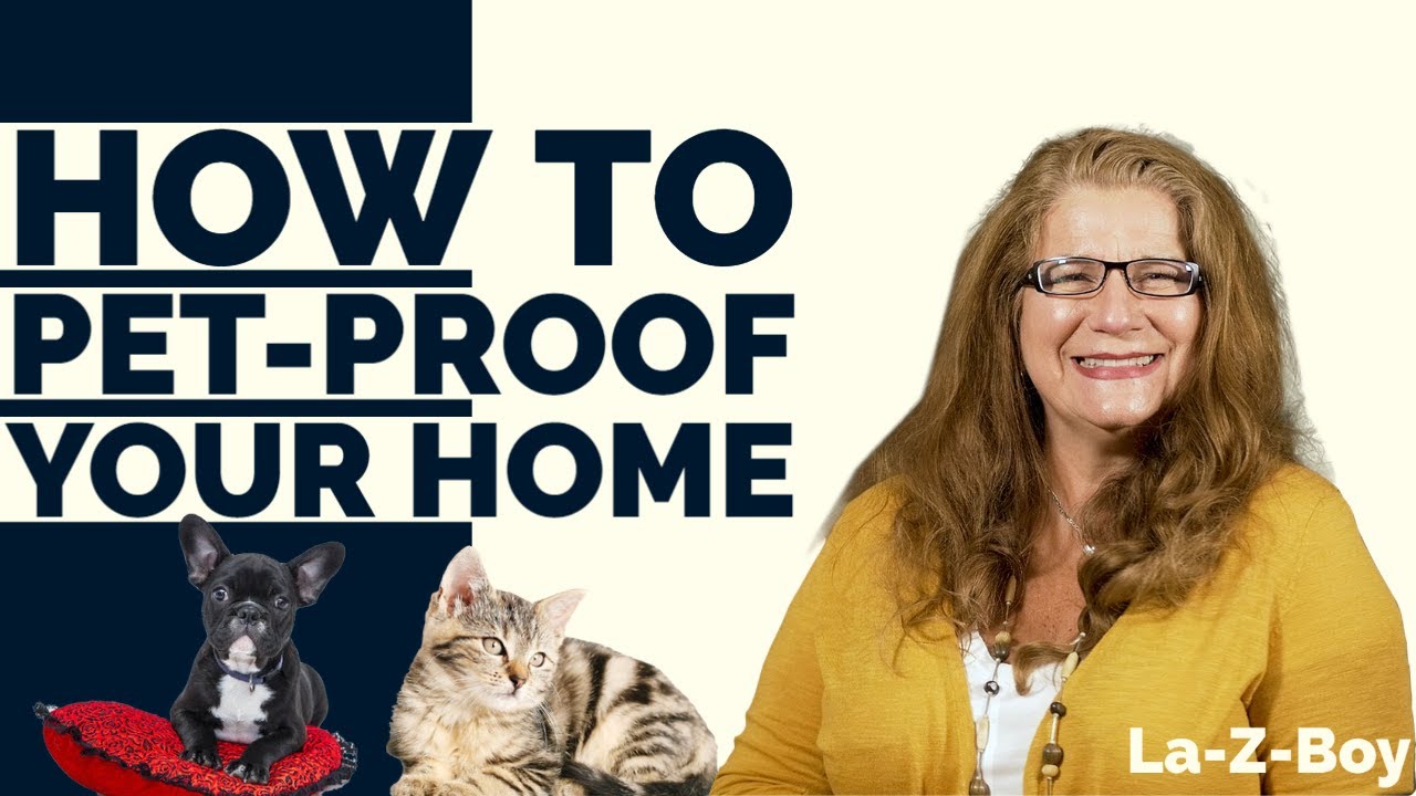 How To Pet-Proof Your Home