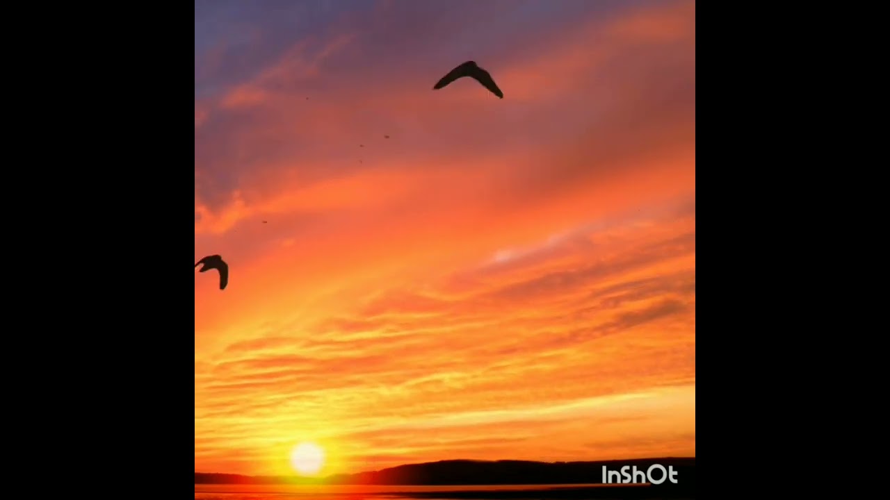 Adagio in sol minore 🎶 Albinoni - R. Giazotto.