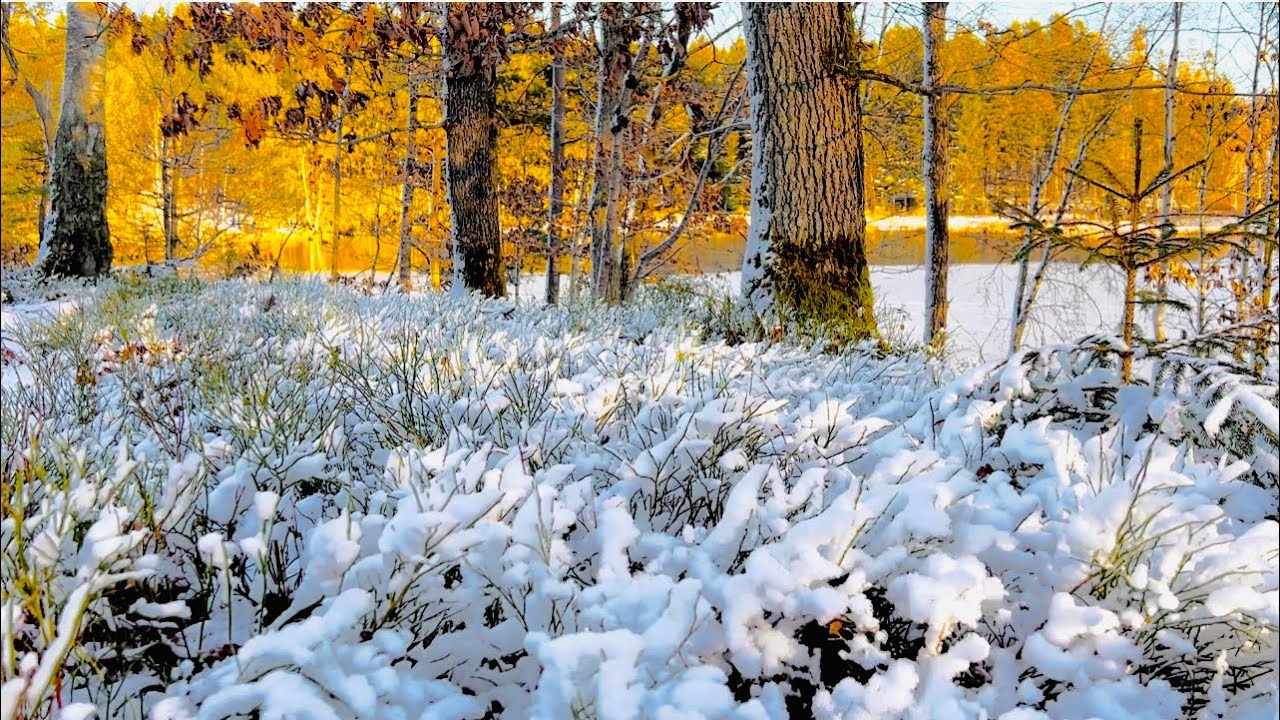The Moment of Snow in Sweden