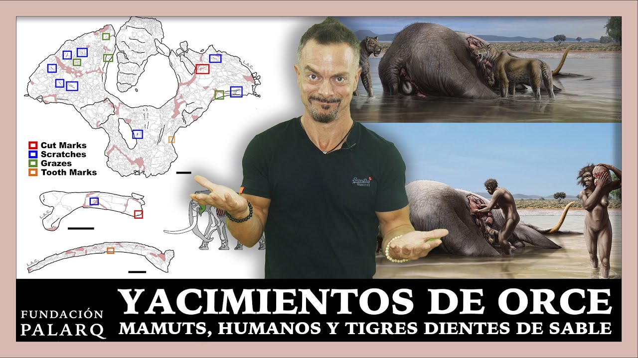 ¿Cómo Vivieron los Primeros Humanos en Europa? El Misterio de los Yacimientos de Orce