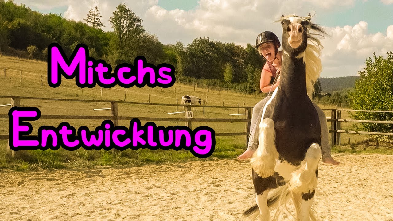 Tinker Mitchs Entwicklung 🦄 11 Jahre in 10 Minuten 😍