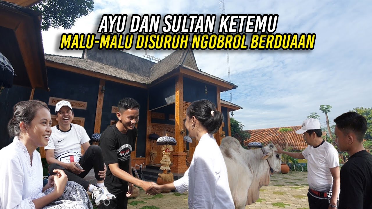 KANG DEDI AJAK SULTAN LIHAT KANDANG SAPI-NAMPAK GROGI SAAT KETEMU AYU DI LEMBUR PAKUAN