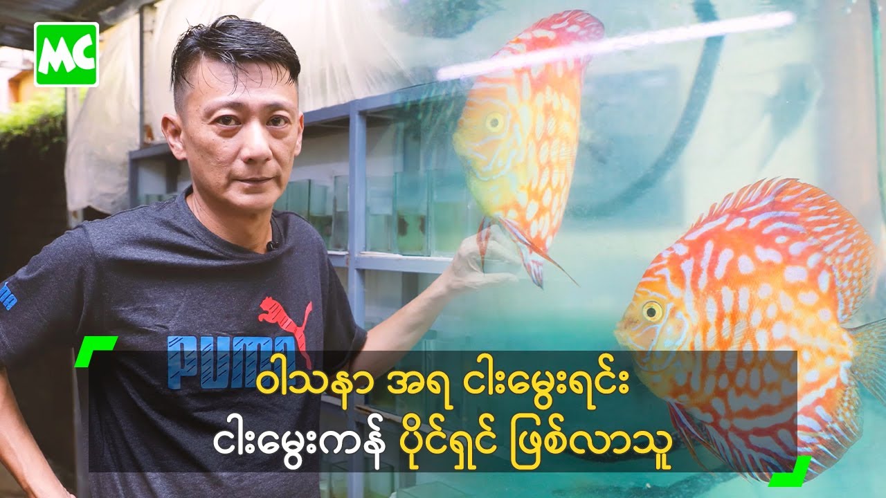 ဝါသနာ အရ ငါးမွေးရင်း ငါးမွေးကန် ပိုင်ရှင် ဖြစ်လာသူ
