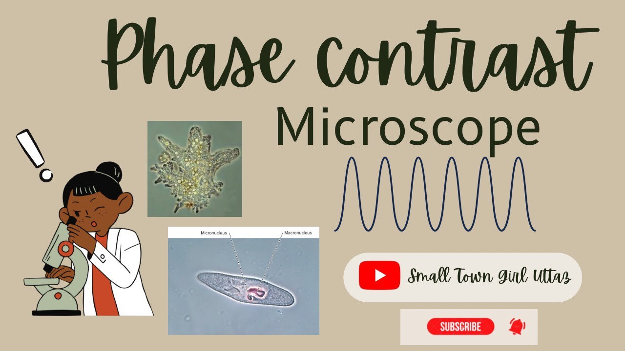 Phase Contrast Microscopy notes | Tamil | #Biology | #Biotechnology Tamil| #Biotechnologytamil