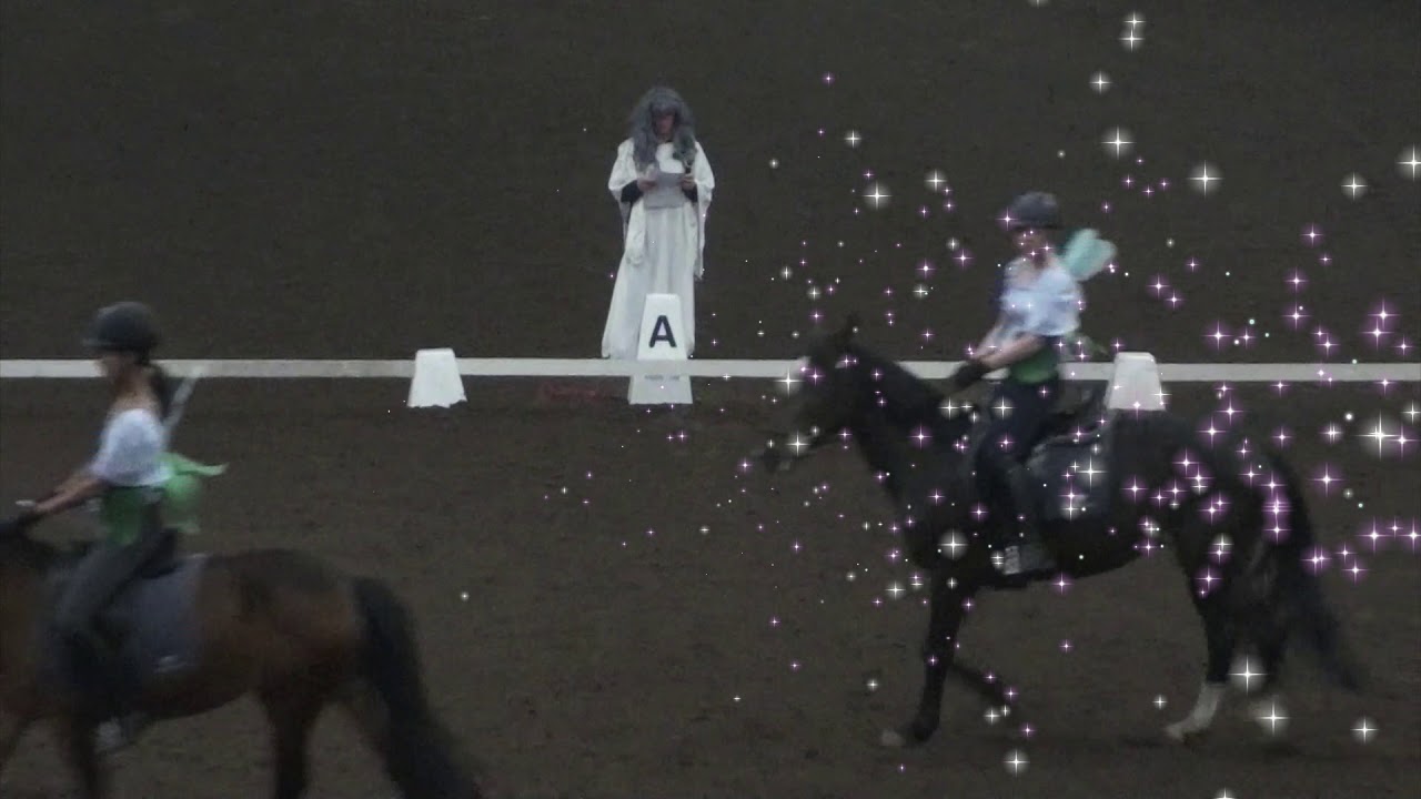 De Indische Waterlelies Carrousel Battle 2019 Manege Thielen