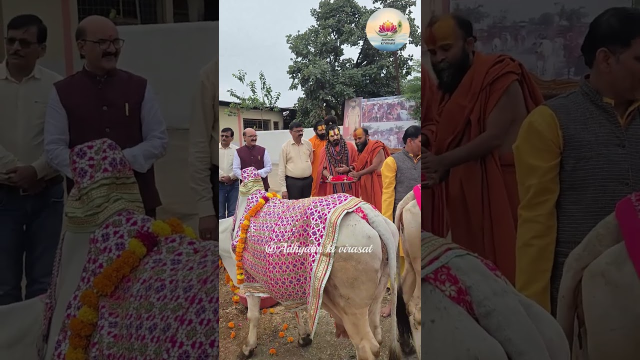 Auspicious wishes for Gopashtami #morpankhwalemaharaj #abhiramdevacharya #gopashtami