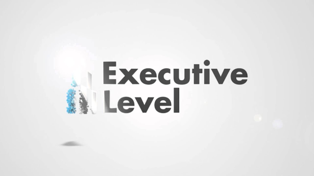 Executive Level logo in pieces