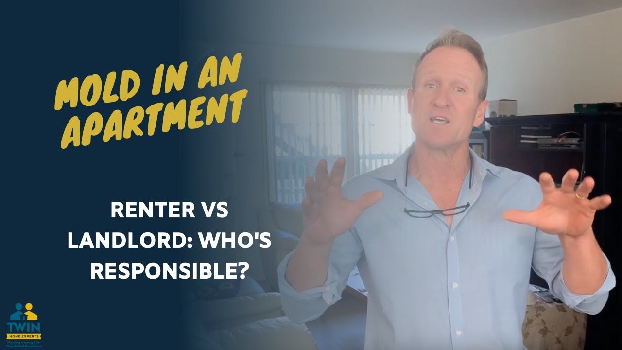 Lawsuit: Mold In An Apartment - Who's Responsible?