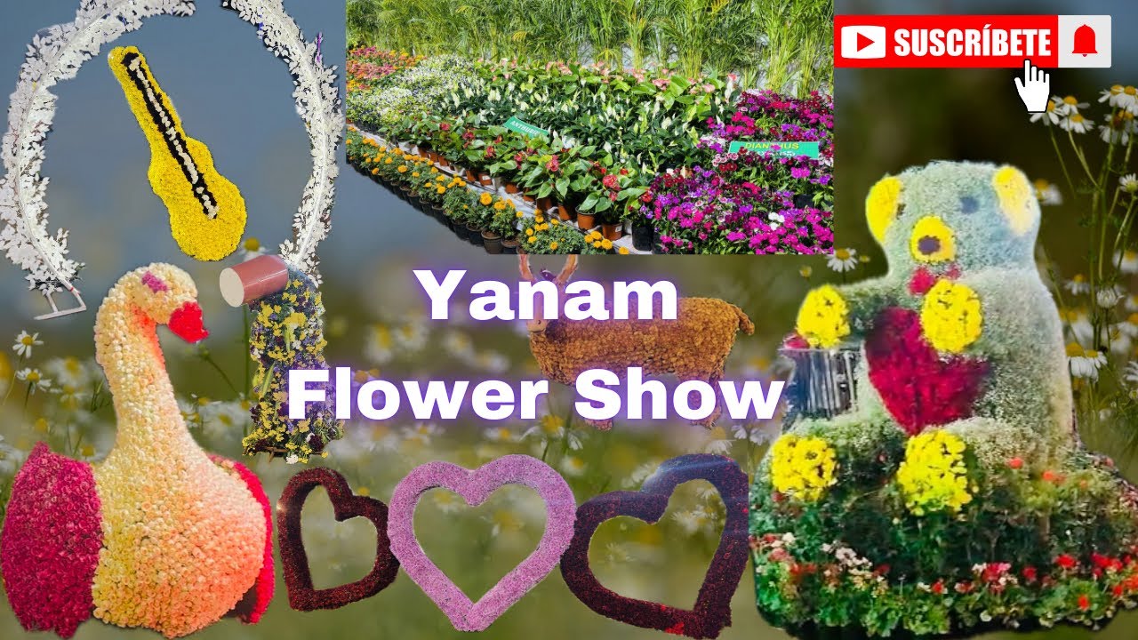 &ldquo;Yanam Flower Show 2026 🌸 | Must Visit Flower Festival in Yanam&rdquo; #vlog #flowers 