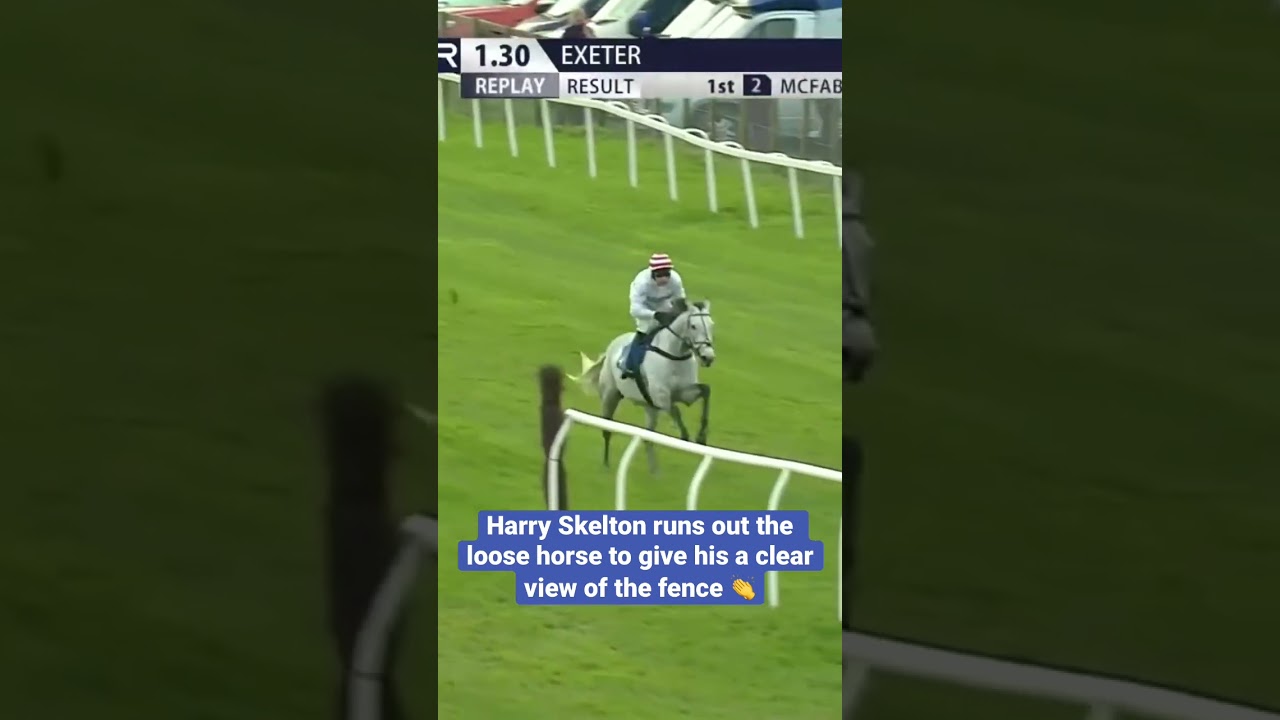 Incredible horsemanship 🤯