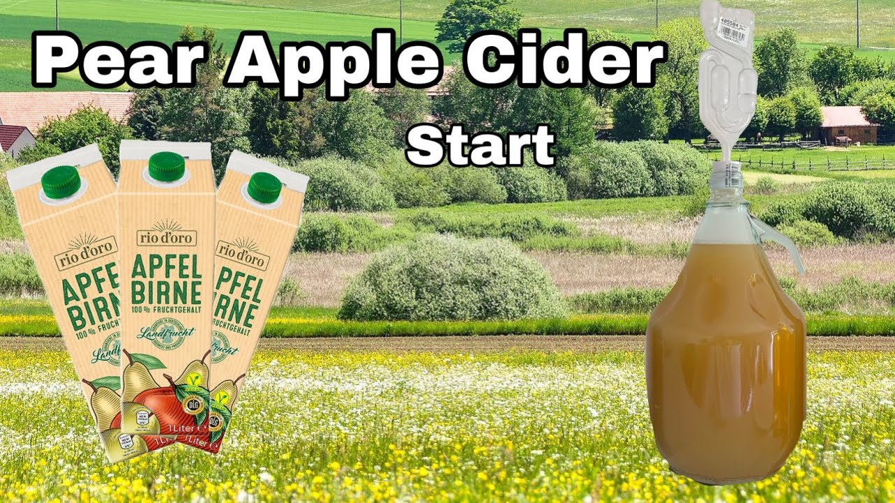 Pear Apple Cider - Made from Aldi Juice
