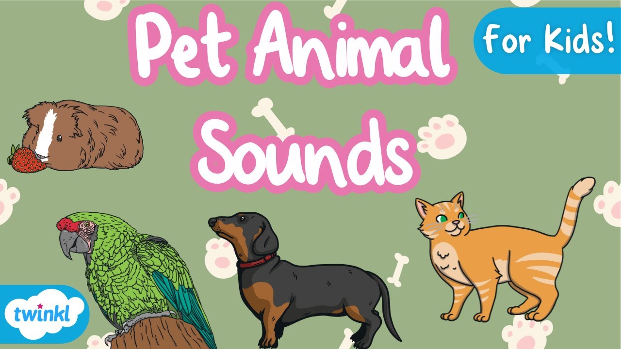 Pet Animal Names and Sounds | Animal Sounds for Kids | Names of Pets for Kids