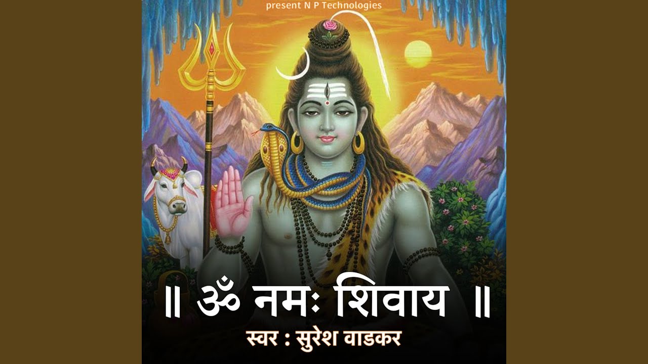 Om Namah Shivay