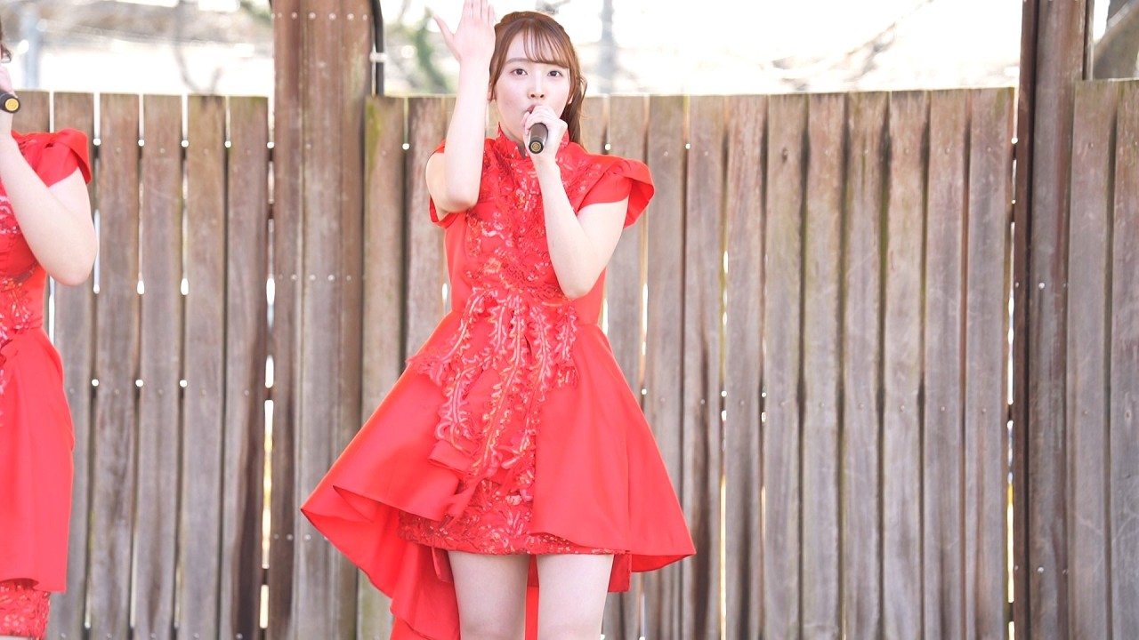 【新メンバー】あかぎ団 天田美桜「Sakura超特急」＠前橋公園 2026.03.07【群馬県ご当地アイドル！AKAGIDAN！フリーライブ！】