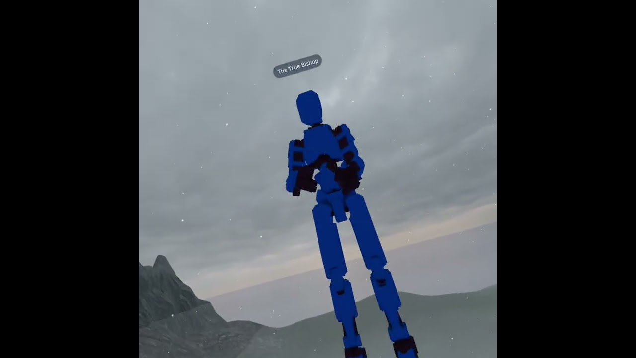 Playing vrchat