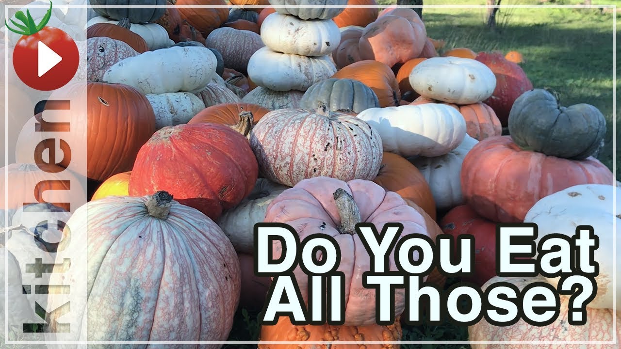 What Do You Do With ALL THOSE PUMPKINS?