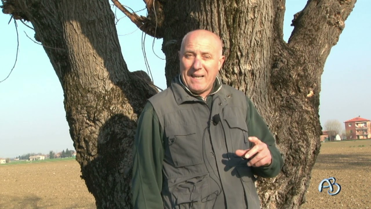 Castello e dintorni: Castel San Polo