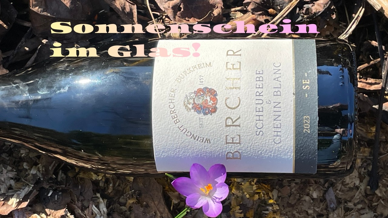 Weingut Bercher Kaiserstuhl Baden Scheurebe Chenin Blanc