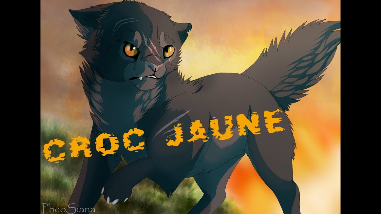 Yellowfang- J'aimerais Tellement