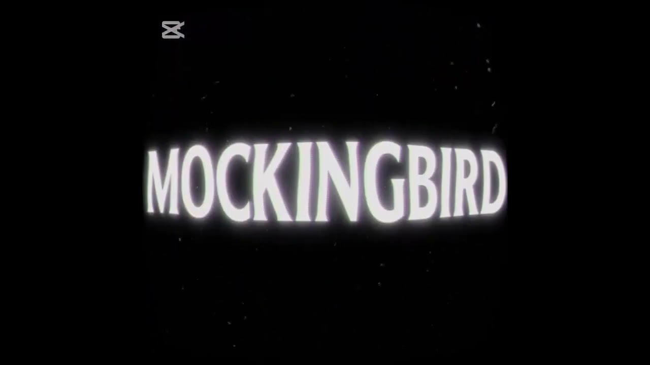 Mockingbird#mockingbird #dhanmusic #fpy #viralshort #musicword #lyrics_video