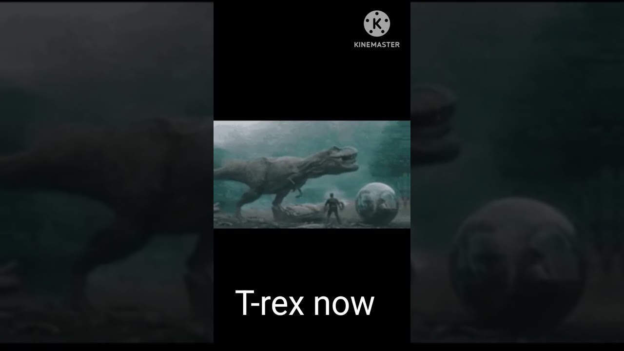 Comparison 