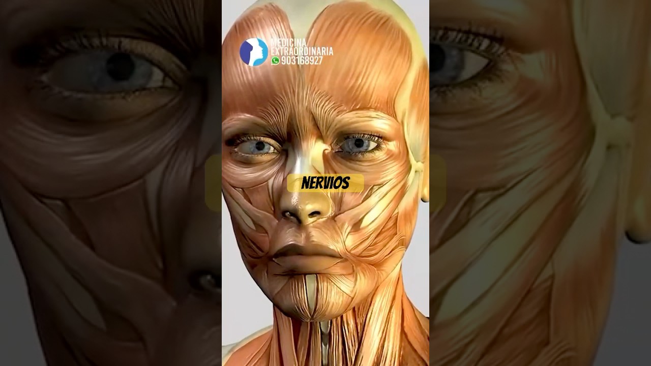 Botox ❤️ usos de la toxina botul&iacute;nica #botox #toxinabotulinica #botoxinjection