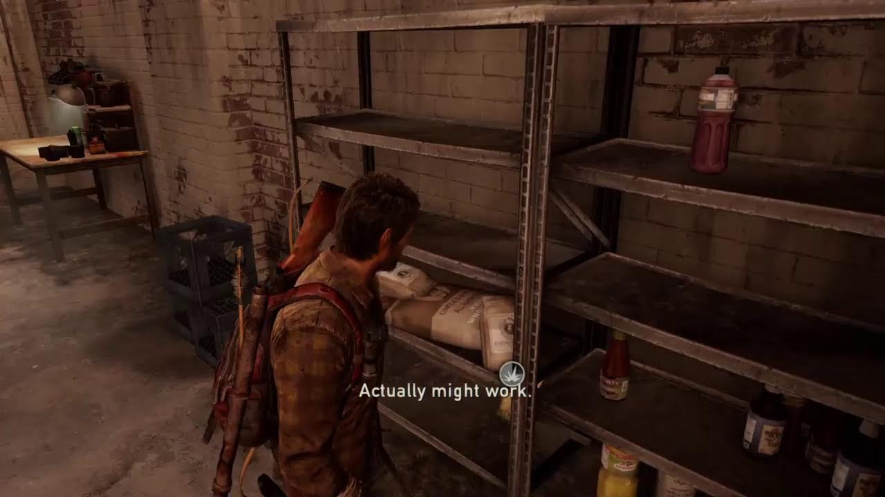 Chill Stream of The Last of Us: Ellie & Joel (NG+) Part 1
